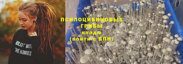 марихуана Абаза